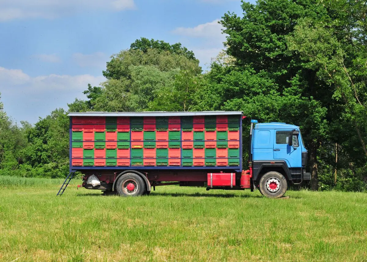 Hinterbehandlungsbeute