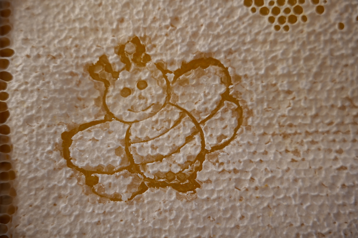 Bienenprodukte - wahre Schätze der Natur