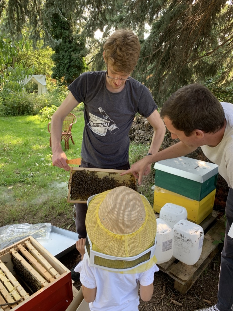Imker:innenorganisationen und -verbände in Deutschland und NRW – Gemeinsam für die Bienen