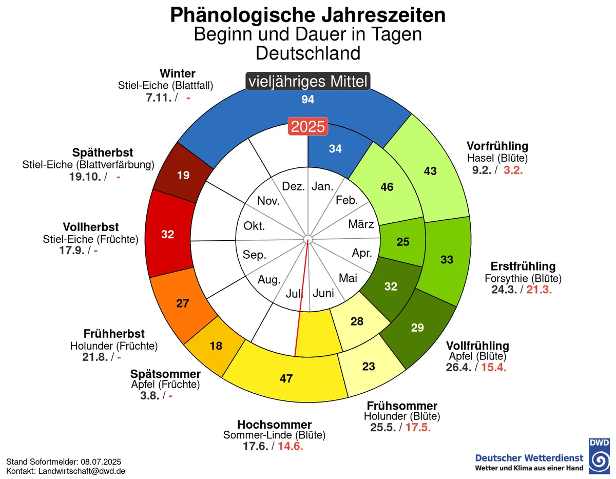 Phänologische Uhr 2025