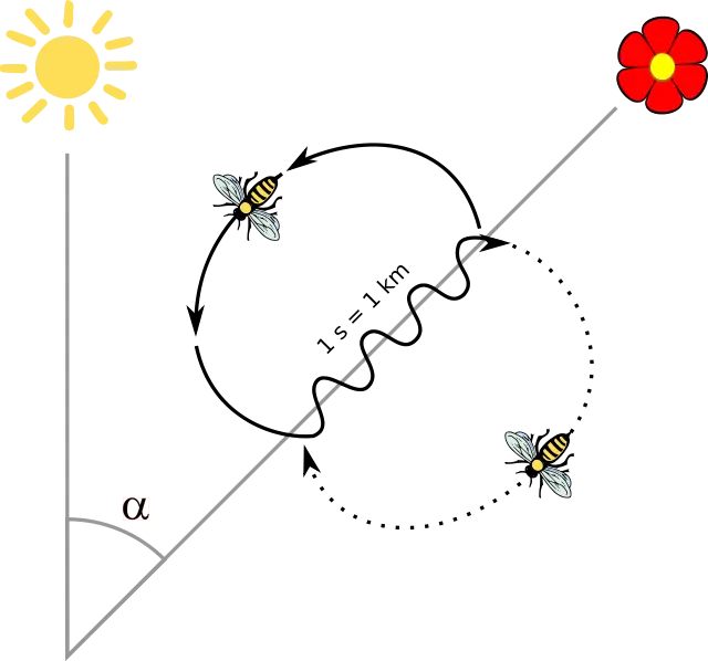 Grafik von Emmanuel Boutet